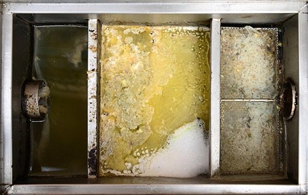 neglecting grease interceptor cleaning can cause environmental contamination, foul odors, and plumbing problems